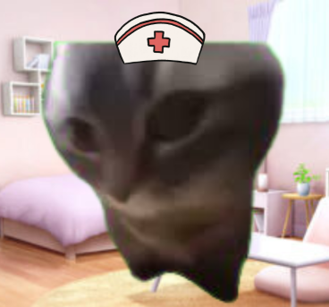 暴れる猫ミーム