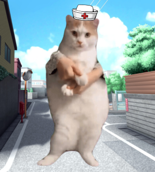 嬉しい猫ミーム