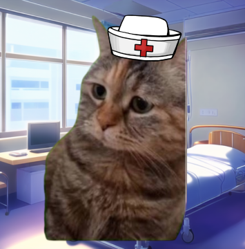 心配な猫ミーム